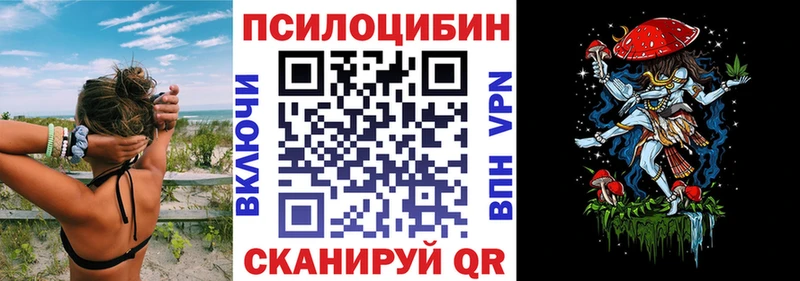 где купить   Сенгилей  Галлюциногенные грибы GOLDEN TEACHER 